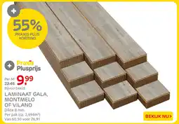 Praxis Laminaat Gala, Montmelo of Vilano aanbieding