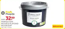 Praxis Perfection Muur & Plafond Muurverf aanbieding