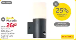 Praxis Brilliant Wandlamp Aberdeen aanbieding