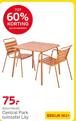 Praxis Central Park tuintafel Lily aanbieding