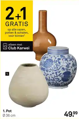 Karwei Club Karwei pot aanbieding