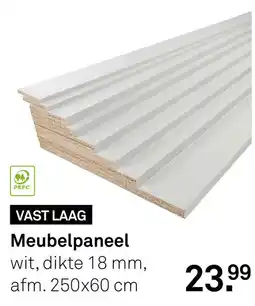 Karwei Vast Laag Meubelpaneel aanbieding