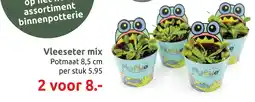 Deka Tuin Vleeseter Mix aanbieding