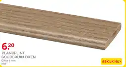 Praxis Plankplint Goudbruin Eiken aanbieding