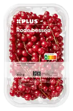 PLUS PLUS Rode bessen aanbieding