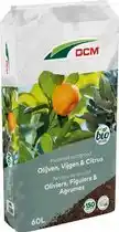 Bol.com DCM POTGR OLIJVEN/VIJGEN/CITRUS 60L aanbieding