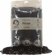 Bol.com Ficus Mix 5L aanbieding