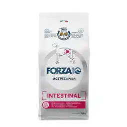 Zooplus Forza 10 Active Lijn Darm Actief voor Honden Hondenvoer - 10 kg aanbieding