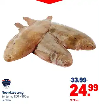 Noordzeevis Noordzeetong
