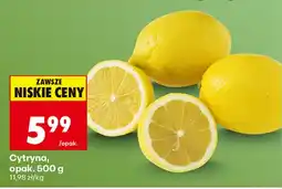Biedronka Cytryna aanbieding