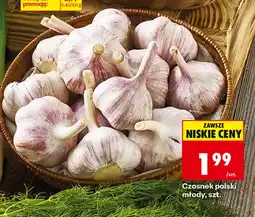 Biedronka Czosnek polski młody aanbieding
