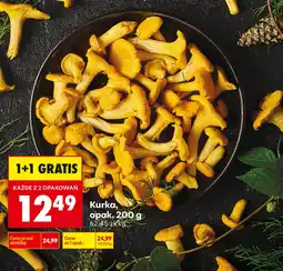 Biedronka Kurka aanbieding