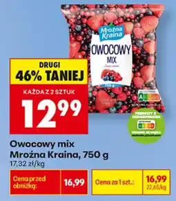 Biedronka Mroźna Kraina Owocowy mix aanbieding