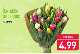 ALDI Harlekijn tulpenmix 22stelen aanbieding