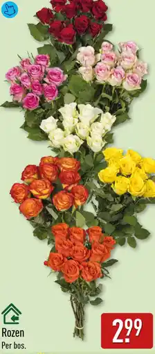 ALDI Rozen aanbieding