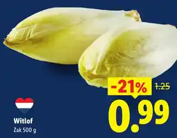 Lidl Witlof aanbieding