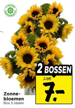 Vomar Voordeelmarkt Zonne-bloemen aanbieding