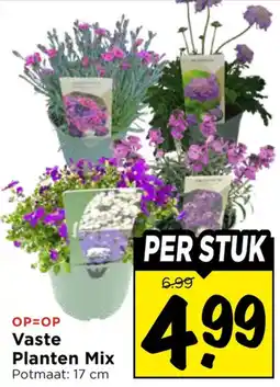 Vomar Voordeelmarkt Vaste Planten Mix aanbieding