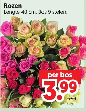 Dekamarkt Rozen aanbieding