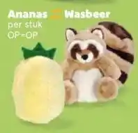 Coop Ananas aanbieding