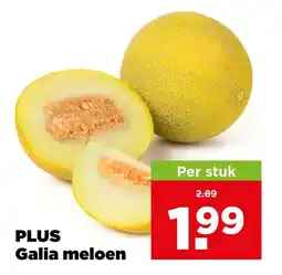 PLUS Plus galia meloen aanbieding