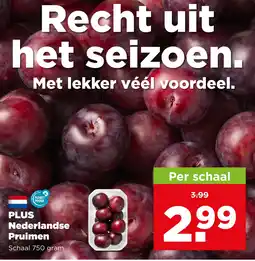 PLUS Plus nederlandse pruimen aanbieding