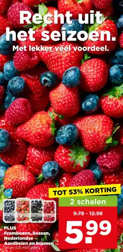 PLUS Plus frambozen, bessen, nederlandse aardbeien en bramen aanbieding