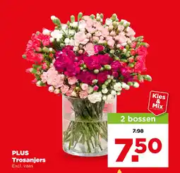 PLUS Plus trosanjers aanbieding