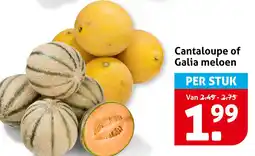 Hoogvliet Cantaloupe of galia meloen aanbieding