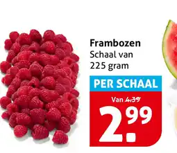 Hoogvliet Frambozen aanbieding