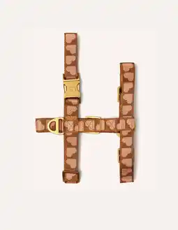 Wehkamp Dogguo Hondenharnas HEART-HARNESS-BROWN/APRICOT-XS aanbieding