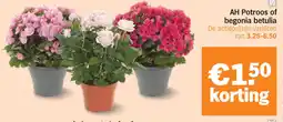 Albert Heijn AH Potroos of Begonia Betulia aanbieding