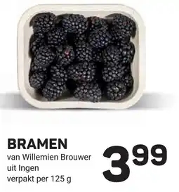 Ekoplaza Bramen aanbieding