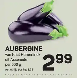 Ekoplaza aubergine aanbieding