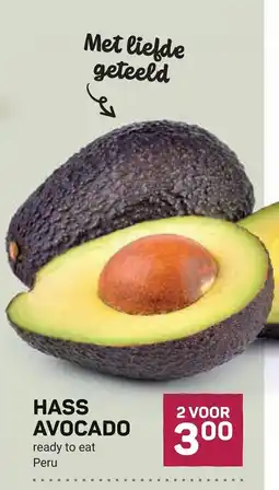 Ekoplaza hass avocado aanbieding