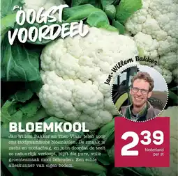 Ekoplaza Bloemkool aanbieding