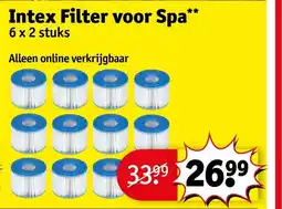 Kruidvat Intex filter voor spa aanbieding