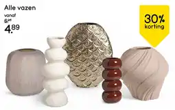 Leen Bakker Alle Vazen aanbieding