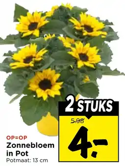 Vomar Voordeelmarkt Zonnebloem in Pot aanbieding
