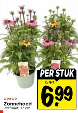 Vomar Voordeelmarkt Zonnehoed aanbieding