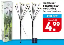Hoogvliet Tuinsteker Bolletjes LED Verlichting aanbieding
