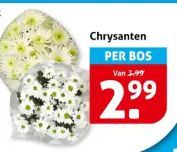 Hoogvliet Chrysanten aanbieding