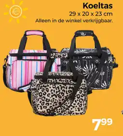 Trekpleister Koeltas aanbieding