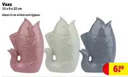 Kruidvat Vaas aanbieding