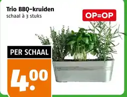 Poiesz Trio BBQ-kruiden aanbieding