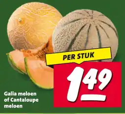 Nettorama Galia meloen of Cantaloupe meloen aanbieding