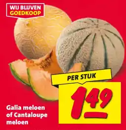 Nettorama Galia meloen of Cantaloupe meloen aanbieding
