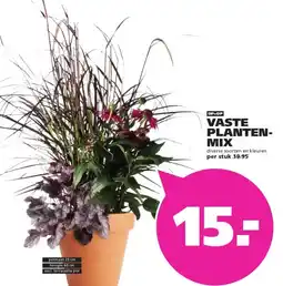 Ranzijn VASTE PLANTEN-MIX aanbieding