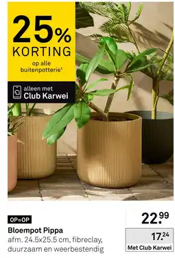 Karwei Karwei bloempot pippa aanbieding