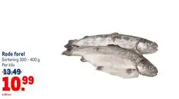 Makro Rode forel aanbieding